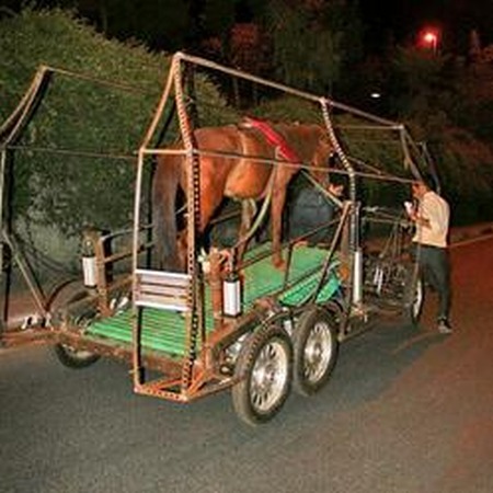 Naturmobil - 