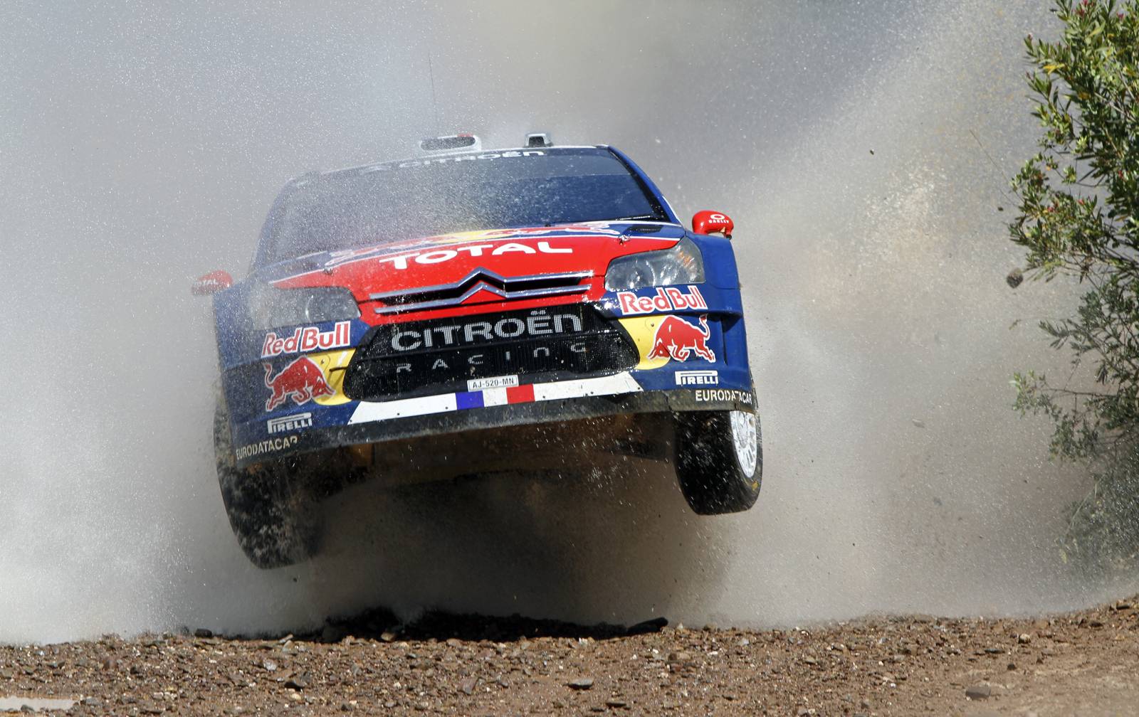 Sebastian Loeb